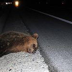 Τέλος τα αντιβιοτικά χωρίς συνταγή