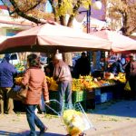 Προτάσεις και θέσεις του του Επιμελητηρίου Κοζάνης στον κ. Κων/νο Μουσουρούλη