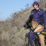 Έρχεται νέο πακέτο στήριξης για εργαζομένους και επιχειρήσεις – Τι θα περιλαμβάνει