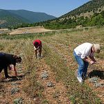 Σηνάντηση Γιώργου Αμανατίδη  με τον Διευθυντή του Υποκαταστήματος Κοζάνης του ΕΛΓΑ Βρόντζο Γεώργιο