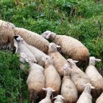 Κτηματολόγιο: Παράταση προθεσμίας για επτά περιοχές και η Κοζάνη σ αυτές