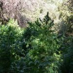 Συνεχίζονται οι δράσεις του Δήμου Κοζάνης για την Ευρωπαϊκή Εβδομάδα Κινητικότητας