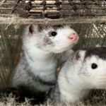 Λειτουργία πλατφόρμας i-bill και e-services από τη Δημοτική Επιχείρηση Ύδρευσης – Αποχέτευσης Κοζάνης