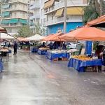 Καλλιόπη Βέττα: Στη βουλή τα προβλήματα των παραγωγών πατάτας στην Π.Ε. Κοζάνης