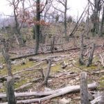 ΕΟΔΥ: 516 κρούσματα και 27 θάνατοι 300 οι διασωληνωμένοι-Κοζάνη 10