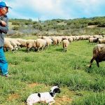 Το προεδρείο του ΕΚΝΚ συναντήθηκε με τον Δήμαρχο Κοζάνης Λάζαρο Μαλούτα