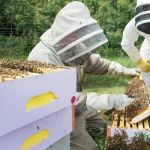 Στα Γρεβενά ο Αναπληρωτής Υπουργός Εσωτερικών κ.Στέλιος Πέτσας – Προσκεκλημένος του βουλευτή κ.Α.Πάτση