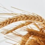 Ολομέτωπη ρωσική επίθεση στην Ουκρανία – Τουλάχιστον 8 νεκροί από τους βομβαρδισμούς