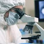 Καστοριά: Πέθανε ο θηλυκός κύκνος αλλά το ταίρι του εξακολουθεί να περιμένει έξω από το αναρρωτήριο