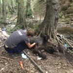 Πάτρα: Σάλο έχει προκαλέσει σε νοσοκομείο της Πάτρας η αποκάλυψη ότι μια εργαζόμενη έχει να εμφανιστεί 4 χρόνια!
