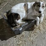 GPO: Η ακρίβεια και η αβεβαιότητα βαραίνουν την καθημερινότητα των νοικοκυριών