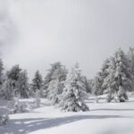 Η Ειδική Αγωγή εξακολουθεί να βρίσκεται στο περιθώριο  της Εκπαίδευσης(;)
