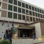 Βίντεο που κόβει την ανάσα: Ανέβηκε σε φοίνικα 30 μέτρων για να τον κόψει – Η συνέχεια τρομάζει