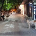 Οι εκδηλώσεις της Κοζανίτικης Αποκριάς , σήμερα Τρίτη 21 Φεβρουαρίου