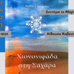 Γ’ Εθνική: ΦΣ Κοζάνης – ΑΕΠ Κοζάνης 1-0.Ήταν ένα πραγματικό ντέρμπι!