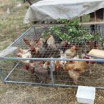 Παρατείνεται η υποβολή αιτήσεων για τον Γ΄ κύκλο του προγράμματος νέων θέσεων εργασίας στις λιγνιτικές περιοχές
