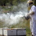Πρόγραμμα κινηματογράφου Ολύμπιον από Πέμπτη  09/03/2023 έως και Τετάρτη 16/03/2023
