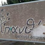 Νηστεία: Είναι ωφέλιμη ή επικίνδυνη; Τι δείχνουν τα ποσοστά για όσους νηστεύουν στην Ελλάδα;