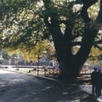 Σπάρτακος: Η ασφαλής εργασία θεμελιώδης αρχή και δικαίωμα