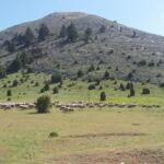 Κοζάνη: Μια μοναδική έκθεση του Κ. Σκετόπουλου αφιερωμένη στις ειδικές δυνάμεις