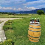 Συνελήφθη 49χρονος για απόπειρα ανθρωποκτονίας σε βάρος 52χρονου και 4 αστυνομικών σε περιοχή της Κοζάνης