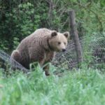 Η βία ενάντια των γυναικών στην έκθεση -Τα θέματα της Νεοελληνικής Γλώσσας και Λογοτεχνίας