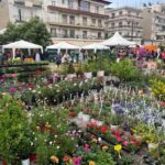 4ο Εσπερινό ΕΠΑΛ Κοζάνης: Ηλεκτρονικές αιτήσεις εγγραφών, ανανέωσης εγγραφής & μεταγραφών