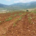 Οι εγγραφές στο Εσπερινό Γυμνάσιο με Λυκειακές τάξεις Κοζάνης για το σχολικό έτος 2023-2024    