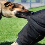 Ράνια Στυλιάδου: Μια Κυριακή, μα τι Κυριακή