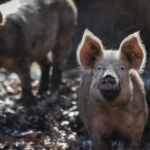 Κινηματοθέατρο “Ολύμπιον”: Το πρόγραμμα από σήμερα Πέμπτη έως και Τετάρτη 12/7