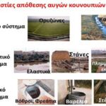 Δήμος Κοζάνης: Συνεχίζονται οι ασφαλτοστρώσεις – Κυκλοφοριακές ρυθμίσεις σε οδούς της πόλης