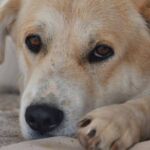 Πανελλαδικές 2023: Τμήμα με 12 πρωτοετείς φοιτητές, σε Φιλολογία με 9.510 μόρια