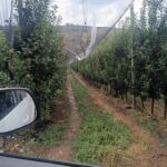 Σύλληψη 48χρονου αλλοδαπού σε περιοχή της Φλώρινας, διότι εκκρεμούσε σε βάρος του Ένταλμα Σύλληψης