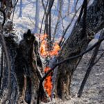 Το πρόγραμμα του κινηματοθέατρου “Ολύμπιον” από 7 έως 13/9