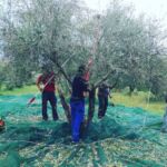 Επίδομα θέρμανσης: Έρχονται νέα μέτρα στήριξης ενόψει χειμώνα