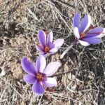 Κοζάνη: Νευρολογικό απογευματινό ιατρείο στο νοσοκομείο