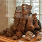 Γ. Αμανατίδης: “Συνάντηση εργασίας με τους 21 εκλεγμένους της #Συμμαχία_για_την_Ανάπτυξη στο νέο Περιφερειακό Συμβούλιο”