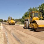Αδέσποτα: Μαζικές στειρώσεις στο Δημοτικό Κτηνιατρείο Κοζάνης 10-12 Νοεμβρίου