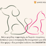 Π. Κουκουλόπουλος: «Η αποεπένδυση των τραπεζών, γκρίζο τοπίο κυβερνητικών επιλογών»