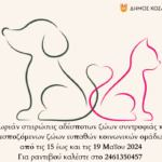 Διακοπή ηλεκτρικού ρεύματος