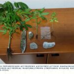 Περιφέρεια Δυτικής Μακεδονίας: Ίδρυση  Σχολή Πέτρας  και Παραδοσιακών Μορφών Δόμησης στον Πεντάλοφο Κοζάνης