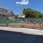 Δήμος Κοζάνης: Η νέα πενταμελής επιτροπή παρακολούθησης για τα αδέσποτα ζώα συντροφιάς και η νέα τριμελής ειδική επιστημονική επιτροπή