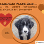 Έκθεση Δρόμου «Η Τέχνη ως Κοινός Τόπος»