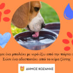 Αυτοκράτορας και στη Ρώμη ο Τεντόγλου – Τρίτο σερί χρυσό μετάλλιο!!!