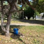 Το πρόγραμμα του κινηματογράφου από 13/06/2024 έως και 19/06/2024