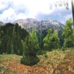 Συνάντηση του Περιφερειάρχη Δυτικής Μακεδονίας  Γιώργου Αμανατίδη με τον Υφυπουργό Κλιματικής Κρίσης και Πολιτικής Προστασίας Χρήστο Τριαντόπουλο για σημαντικά ζητήματα της Δυτικής Μακεδονίας