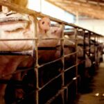 Παράταση καταληκτικής ημερομηνίας υποβολής αιτήσεων 10ου κύκλου Εισαγωγής Μεταπτυχιακών Φοιτητών στο Διατμηματικό Πρόγραμμα Μεταπτυχιακών Σπουδών “Ανανεώσιμες Πηγές Ενέργειας & Διαχείριση Ενέργειας στα Κτίρια” (MSc in Renewable Energy Sources & Buildings Energy Management) ακαδημαϊκό έτος 2024-2025