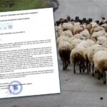 Εφορία: «Κούρεμα» 50% στα πρόστιμα για όσους ομολογήσουν παραβάσεις