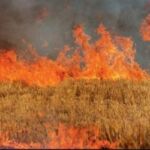 Γιώργος Αμανατίδης για την μεγάλη επιτυχία του Μίλτου Τεντόγλου