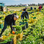 Σχέδιο ίδρυσης νέων φορέων ύδρευσης σε κάθε νομό